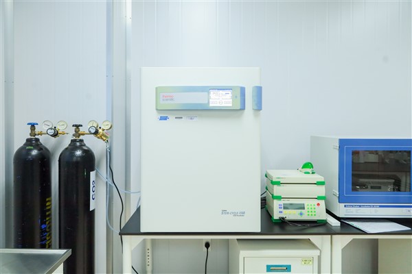CO₂ Incubator Forma Steri-Cycle i160 Single Chamber – A system that provides a stable environment for animal cell culture, ensuring optimal control of temperature, humidity, and CO₂ concentration.