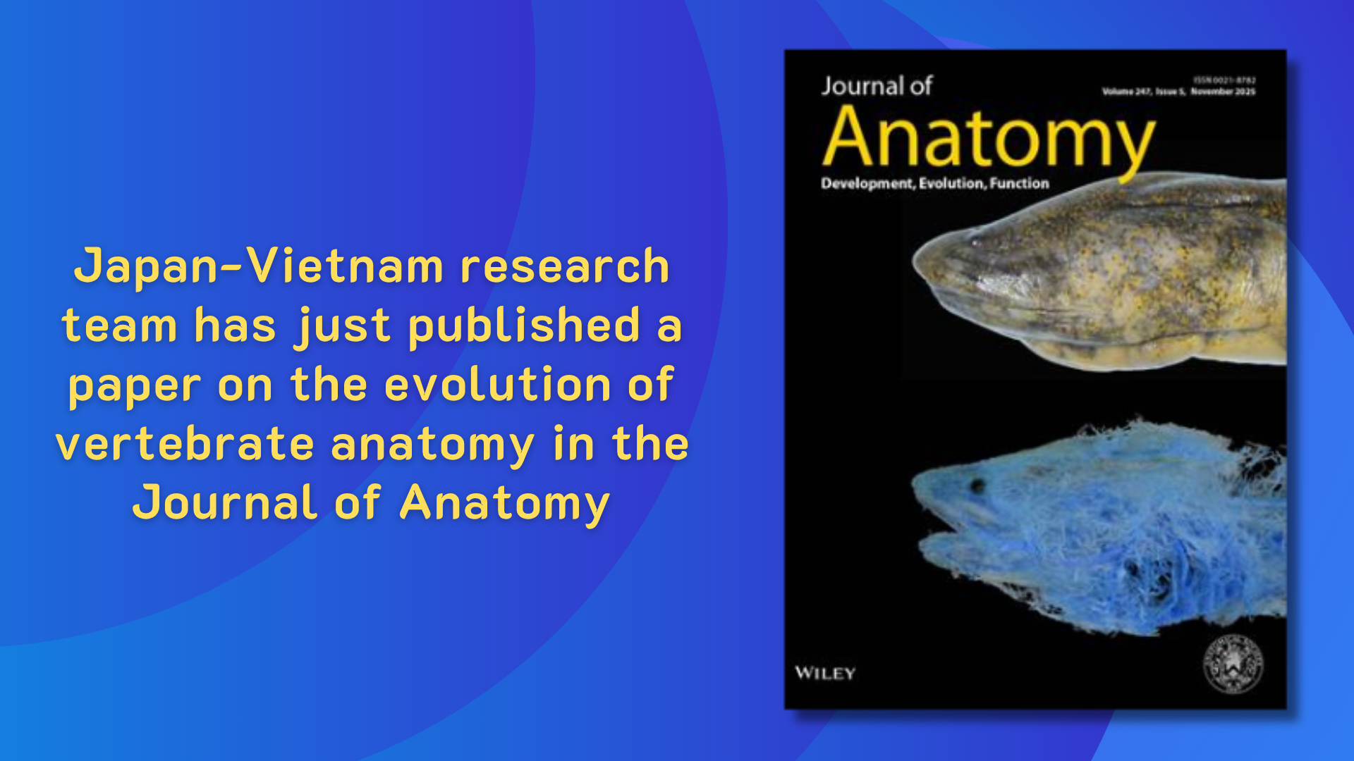 Japan-Vietnam research team has just published a paper on the…