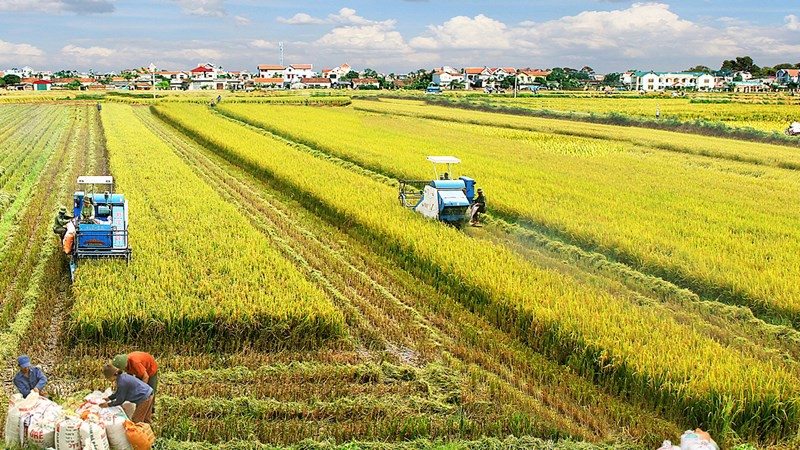 Kinh tế nông nghiệp